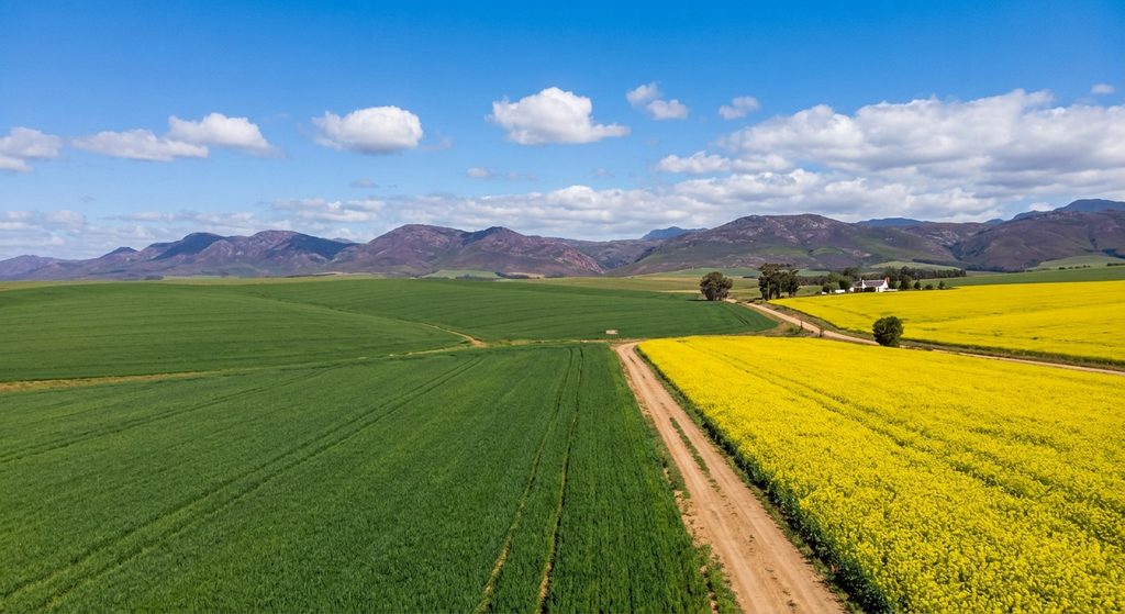 Spraying solutions for wheat and canola